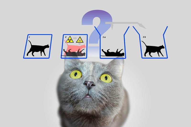 Quantum Modulators